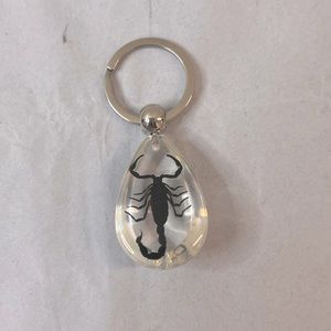 A scorpion key chain